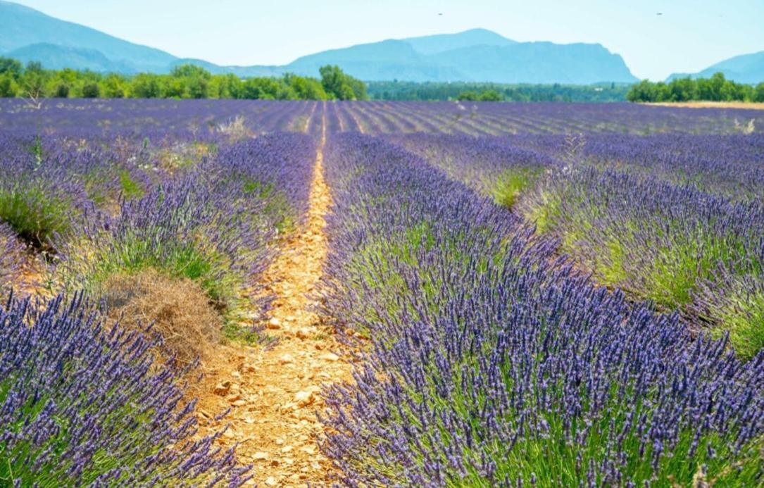 Fuvolea, Maison De Vacances A 15 Min Du Centre D'Aix-En-Provence, Piscine Chauffee En Saison - Jardin - Parking Prive Gratuit Fuveau Bagian luar foto