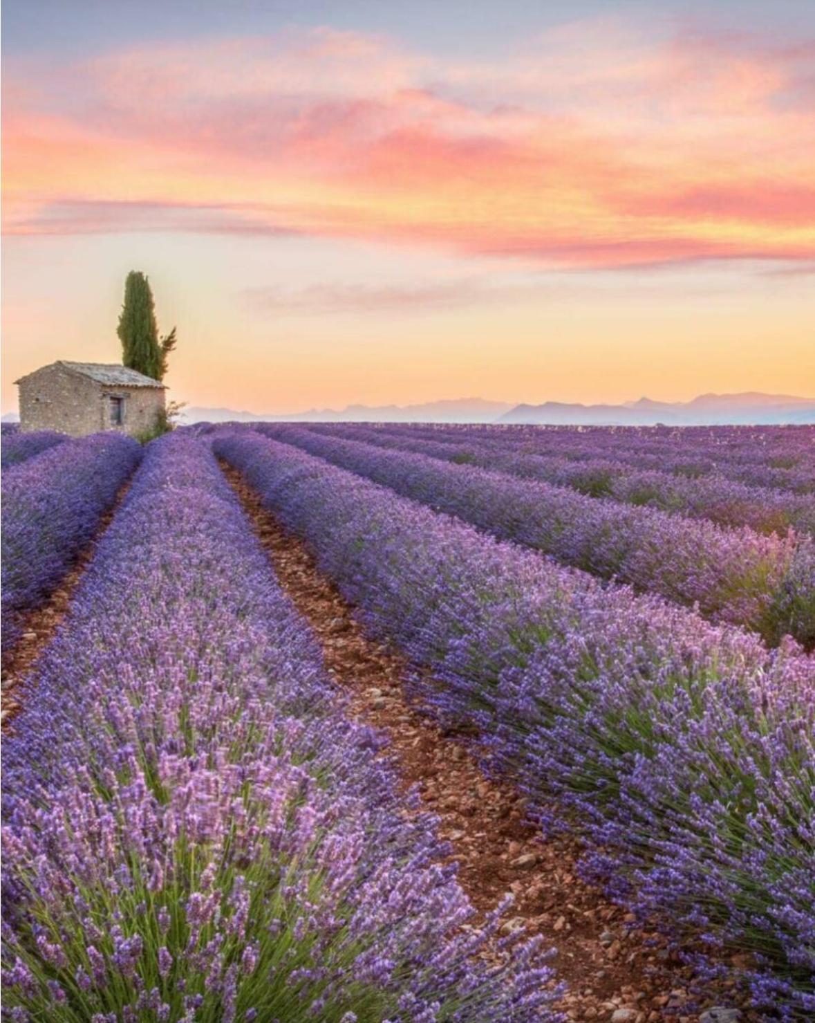 Fuvolea, Maison De Vacances A 15 Min Du Centre D'Aix-En-Provence, Piscine Chauffee En Saison - Jardin - Parking Prive Gratuit Fuveau Bagian luar foto